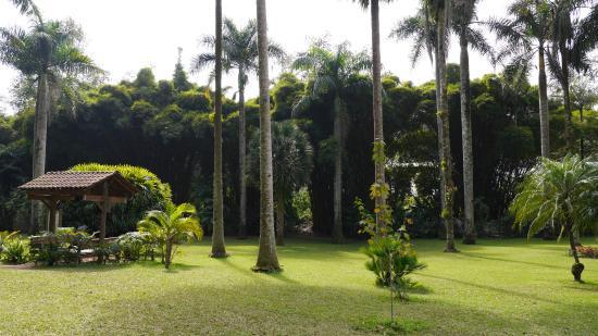 Jardín Botánico Francisco Javier Clavijero