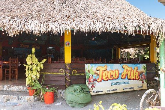 Teco Fish